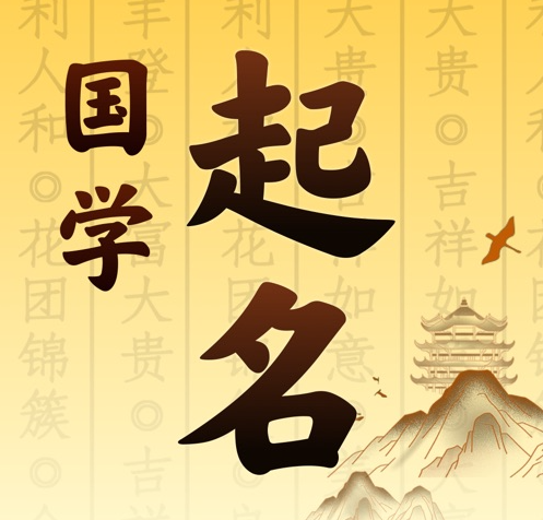 望江国学起名 人工起名一对一